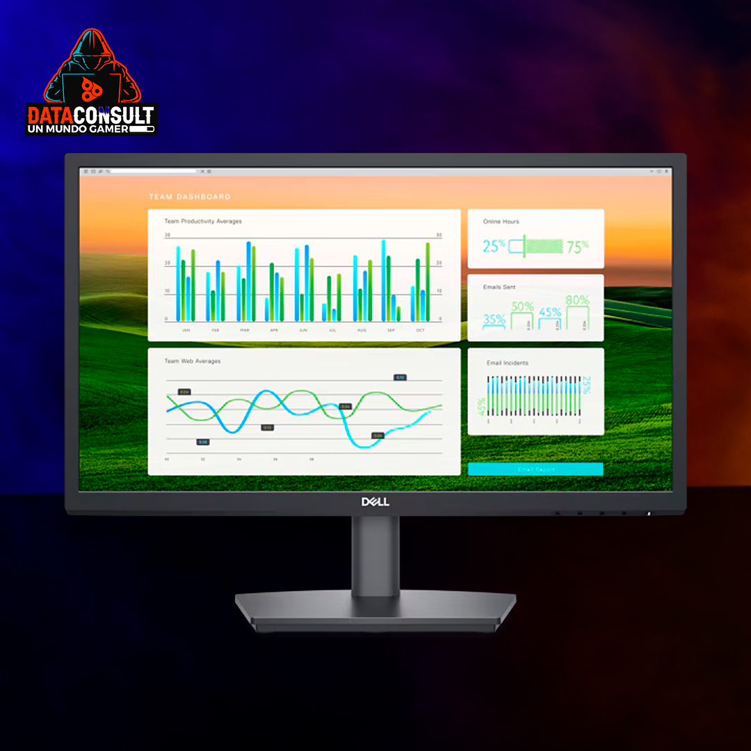 MONITOR DELL 2222HS 22